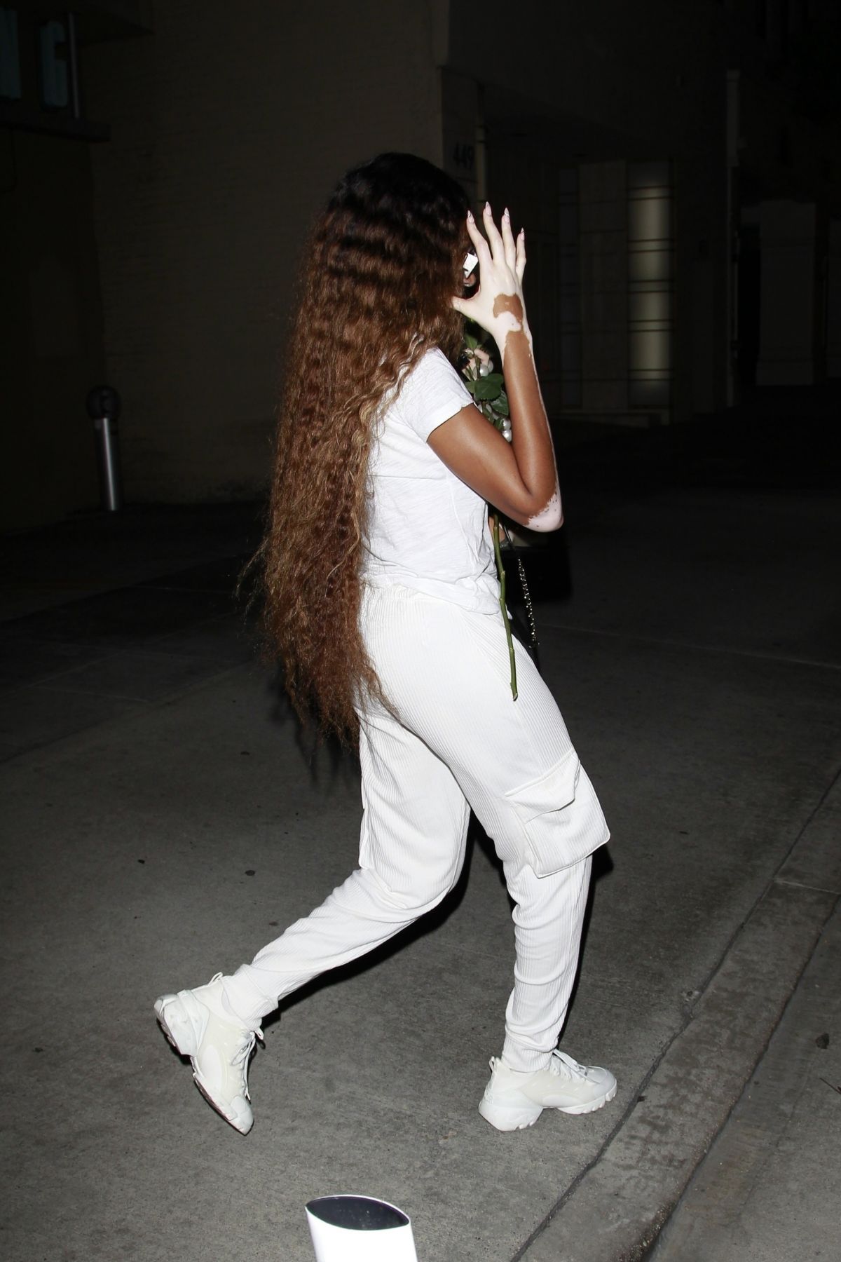 winnie-harlow-out-for-dinner-with-friends-at-wally-s-in-beverly-hills-07-06-2021-0.jpg