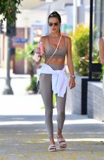 ALESSANDRA AMBROSIO and LUDI DELFINO Heading to a Gym in Brentwood 08/30/2021