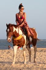 ALESSANDRA AMBROSIO in a Red Bikini Riding a Horse at a Beach in Trancoso 08/05/2021