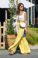 ALESSANDRA AMBROSIO Out on Malibu Pier 08/09/2021