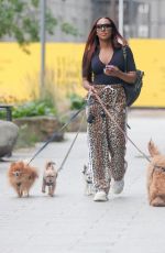 ALEXANDRA BURKE Out with Her Dogs in London 08/04/2021