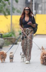ALEXANDRA BURKE Out with Her Dogs in London 08/04/2021