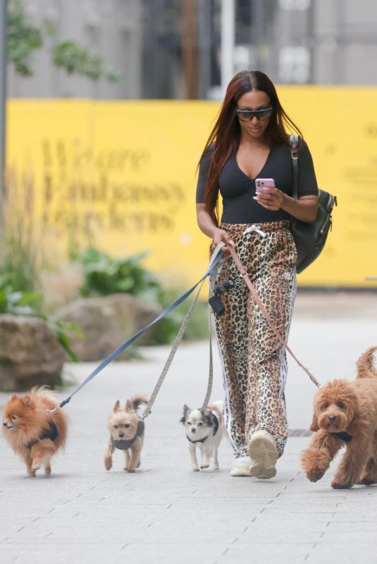 ALEXANDRA BURKE Out with Her Dogs in London 08/04/2021