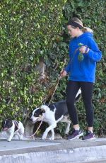 AVA PHILLIPPE Out with Her Dogs in Los Angeles 07/30/2021