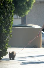 BEBE REXHA Out with Her Dog in Los Angeles 08/08/2021