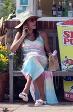 BETHENNY FRANKEL Out in The Hamptons in New York  08/07/2021
