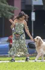 CAMILA CABELLO and Shawn Mendes Out with Their Dog at a Park in Toronto 08/16/2021