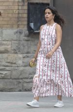 CAMILA CABELLO and Shawn Mendes Out with Their Dog in Toronto 08/12/2021