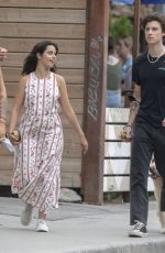 CAMILA CABELLO and Shawn Mendes Out with Their Dog in Toronto 08/12/2021