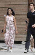 CAMILA CABELLO and Shawn Mendes Out with Their Dog in Toronto 08/12/2021
