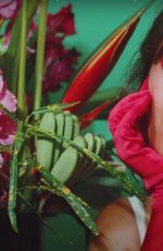 CAMILA CABELLO - Don