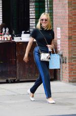 CHLOE SEVIGNY Out in New York 08/09/2021