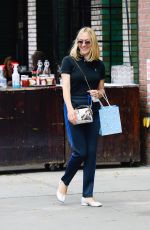 CHLOE SEVIGNY Out in New York 08/09/2021