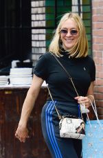 CHLOE SEVIGNY Out in New York 08/09/2021
