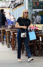 CHLOE SEVIGNY Out in New York 08/09/2021