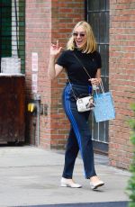 CHLOE SEVIGNY Out in New York 08/09/2021