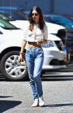 EMILY RATAJKOWSKI in Denim Picks up Dog Food in New York 08/25/2021