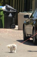 HEIDI MONTAG Out with Her Dog in Los Angeles 08/17/2021