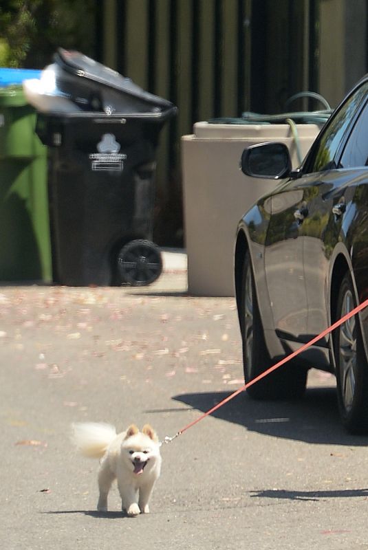 HEIDI MONTAG Out with Her Dog in Los Angeles 08/17/2021