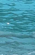 KOURTNEY KARDASHIAN in Bikini at a Beach in Italy 08/27/2021