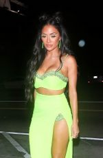 NICOLE SCHERZINGER Out for Dinner at Catch LA in West Hollywood 07/31/2021