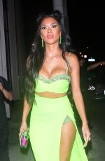 NICOLE SCHERZINGER Out for Dinner at Catch LA in West Hollywood 07/31/2021