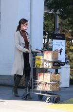 ASHLEY GREENE Shopping at Bristol Farms in Beverly Hills 09/16/2021