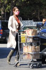 ASHLEY GREENE Shopping at Bristol Farms in Beverly Hills 09/16/2021