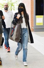 DAKOTA JOHNSON Arrives at Venice