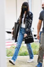 DAKOTA JOHNSON Arrives at Venice