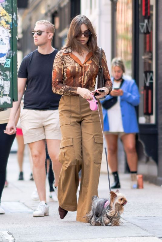 HAILEE STEINFELD Out with Her Dog in New York 09/12/2021