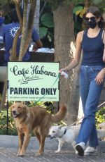 KAIA GERBER at Cafe Habana in Malibu 09/07/2021