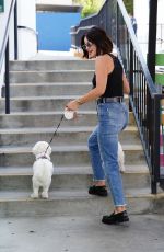 LUCY HALE Dropping Her Dog at Daycare in Studio City 09/20/2021