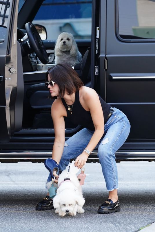 LUCY HALE Dropping Her Dog at Daycare in Studio City 09/20/2021