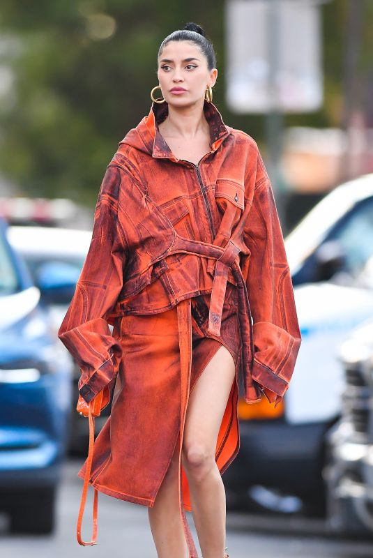 NICOLE WILLIAMS at a Photoshoot Out in New York 09/16/2021
