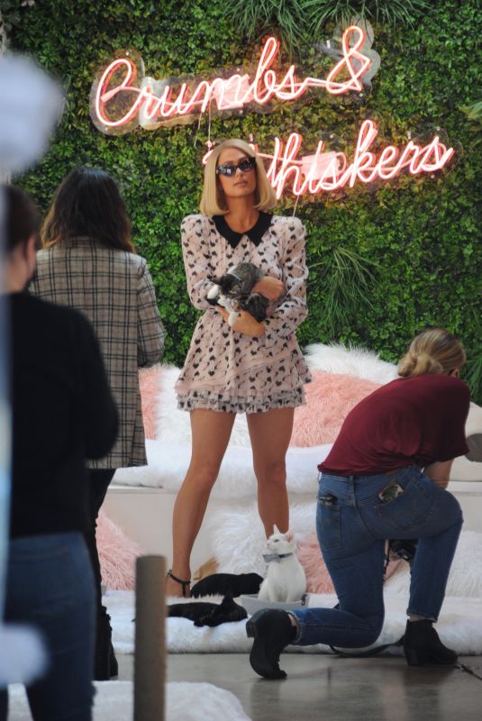 PARIS HILTON on the Set at Crumbs & Whiskers | Kitten & Cat Cafe on Melrose Ave in Los Angeles 09/02/2021