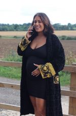 Pregnant MALIN ANDERSSON Out in London 09/14/2021