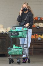 REBECCA GAYHEART Shopping at Bristol Farms in Beverly Hills 09/28/2021
