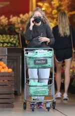 REBECCA GAYHEART Shopping at Bristol Farms in Beverly Hills 09/28/2021