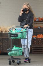 REBECCA GAYHEART Shopping at Bristol Farms in Beverly Hills 09/28/2021