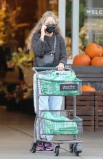 REBECCA GAYHEART Shopping at Bristol Farms in Beverly Hills 09/28/2021