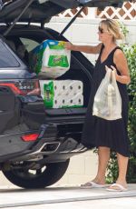 SANDRAQ LEE Unloads hHer Car After a Grocery Shopping in Malibu 08/31/2021