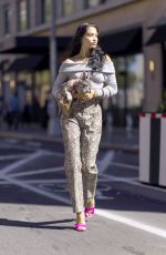 SHANINA SHAIK Out with her Dog in New York 09/26/2021