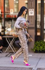 SHANINA SHAIK Out with her Dog in New York 09/26/2021