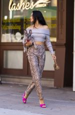 SHANINA SHAIK Out with her Dog in New York 09/26/2021