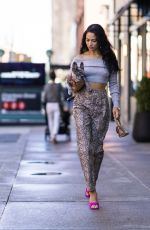SHANINA SHAIK Out with her Dog in New York 09/26/2021