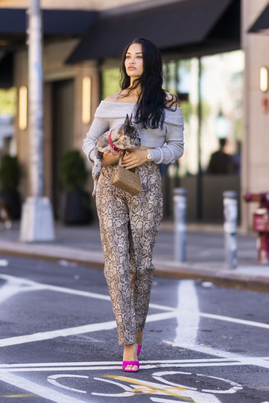 SHANINA SHAIK Out with her Dog in New York 09/26/2021