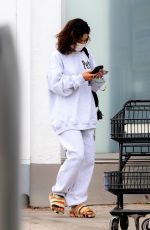 VANESSA HUDGENS Leaves a Spa in Los Angeles 09/01/2021