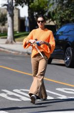 ALESSANDRA AMBROSIO Out in Brentwood 10/18/2021