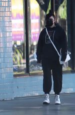 AMANDA BYNES and Paul Michael Out on Hollywood Blvd in Los Angeles 10/18/2021